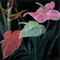 In Bloom II Poster Print by Pegge Hopper - Item # VARPDXHPP101
